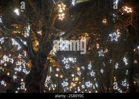 Star shaped lights hanging in tree branches at night Stock Photo