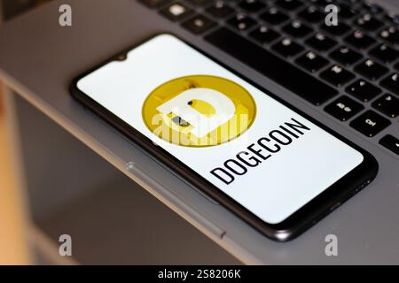 Canada. 20th Jan, 2025. In this photo illustration, the Dogecoin logo is seen displayed on a smartphone screen. (Photo by Thomas Fuller/SOPA Images/Sipa USA) *** Strictly for editorial news purposes only *** Credit: Sipa USA/Alamy Live News Stock Photo