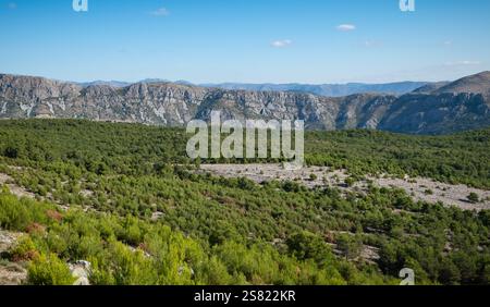 Mountain and Pine Tree Landscape in Dubrovnik, Croatia Stock Photo