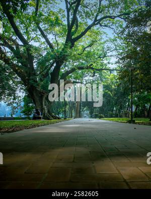 A beautiful sunlight morning in Dhaka's Ramna Park, featuring lush greenery, serene pathways, and a tranquil atmosphere in the heart of the city Stock Photo