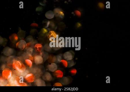 Abstract bokeh background with red glowing circles coming from the lower left corner and flying up into the black, created from a blurred shot of fire Stock Photo