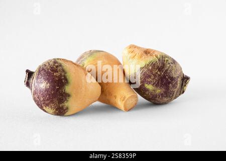 Close-up of purple and yellow rutabagas on a transparent background in PNG format Stock Photo