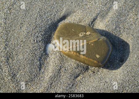 Smooth stone, in closeup, on damp beach sand. Stock Photo