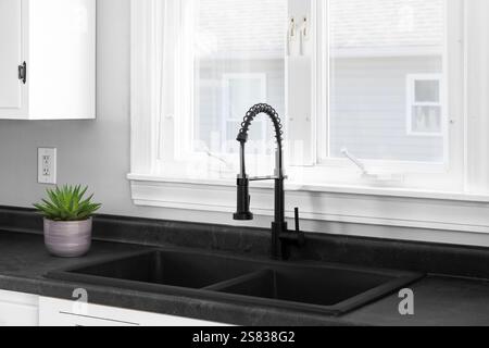 A modern white kitchen with a black stone double sink and black faucet, and a small succulent sits on the black countertop. Stock Photo