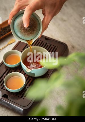Female hands pouring tea from ceramic Gaiwan teaware into tea cups, creating serene tea ritual. Soft light, wooden tea tray and greenery evoke calming Stock Photo