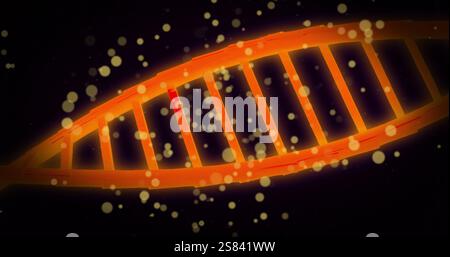 Image of dna strands spinning and glowing spots of light over black background Stock Photo
