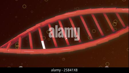 Image of dna strands spinning and glowing spots of light over black background Stock Photo