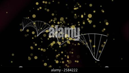 Image of dna strands spinning and glowing spots of light over black background Stock Photo