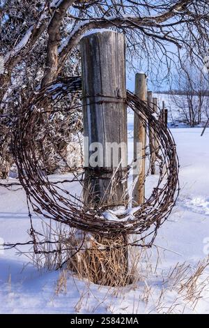A rusty wire is wrapped around a wooden post. The wire is bent into a circle and is covered in snow. The image has a rustic and somewhat eerie feel to Stock Photo