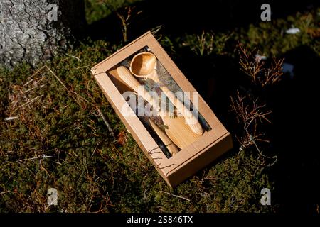 A wooden spoon, knife, and fork in a cardboard box with a transparent lid, placed on mossy ground surrounded by twigs, vegetation, and a tree trunk. Stock Photo
