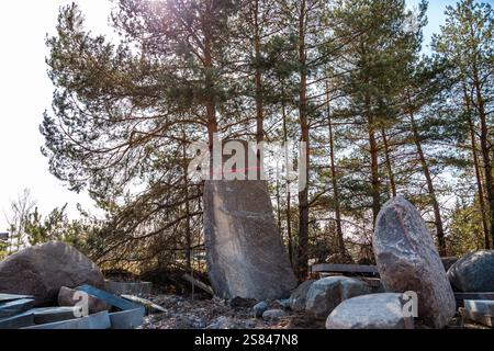 A prominent upright stone marked with a red line stands among scattered rocks and construction materials, with tall pine trees in the background. Stock Photo