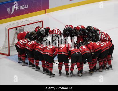 Turin, Italy. 20th Jan, 2025. Players of Canada cheer before the women's ice hockey final match between the Czech Republic and Canada at the 2025 FISU Winter World University Games in Turin, Italy, Jan. 20, 2025. Credit: Zhang Fan/Xinhua/Alamy Live News Stock Photo