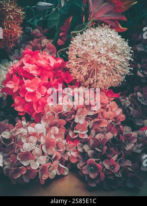 Vibrant pink, white, and purple hydrangeas and allium flowers create a festive arrangement, perfect for a Chinese New Year celebration.  A profusion o Stock Photo