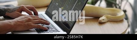 Typing on Laptop While Monitoring Financial Data Display Stock Photo