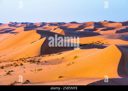Dunes in the Sharqiya Sands, formerly Wahiba Sands, desert region, Sultanate of Oman, Arabian Peninsula Stock Photo