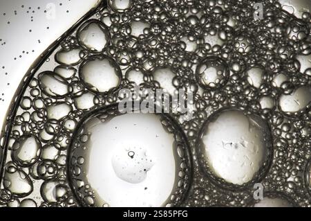 Abstract bubbles over white light in a shiny image Stock Photo