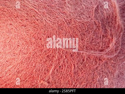 Close view of red felt texture Stock Photo