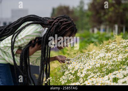 Young black woman with long dreadlocks and glasses is bending over and smelling a large group of white daisies in a vibrant garden, enjoying the beauty and fragrance of nature Stock Photo