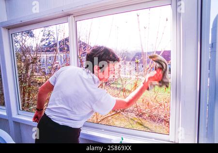 Cleaning windows Stock Photo