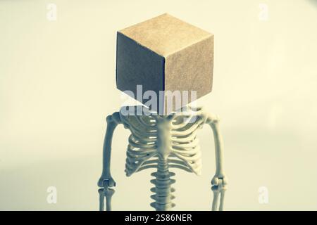 Artificial human body model skeleton with a box on his skull Stock Photo