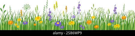 Flowers and grass seamless border, meadow flowers and green grass, vector illustration, card decoration element Stock Vector