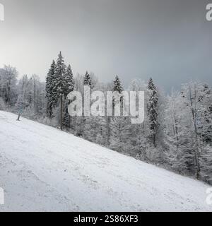 Ski slope in the mountains. Snow covered trees on the steep hill. Mountain forest on a cloudy day. Stock Photo