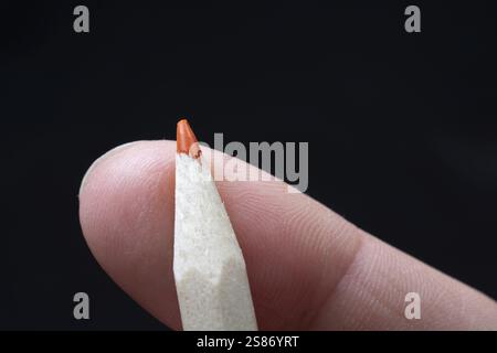 Hand holding a red colored pencil Stock Photo