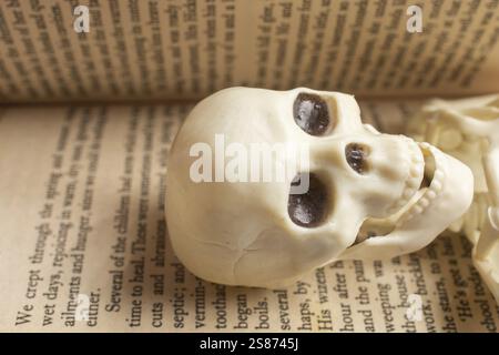 Model of artificial Human Skeleton in a book with text Stock Photo