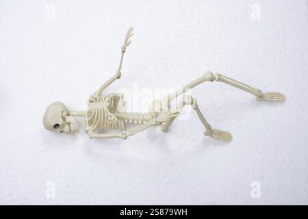 Model of artificial Human Skeleton on gray background Stock Photo
