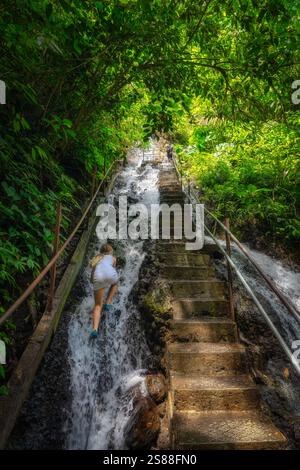 A dedicated traveler climbs a scenic staircase beside a mesmerizing waterfall fully immersed in the vibrant greenery and natural beauty that surrounds Stock Photo