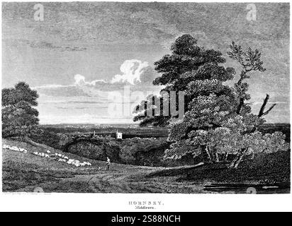 An engraving of Hornsey, Middlesex scanned at high resolution from a book published around 1815. Stock Photo