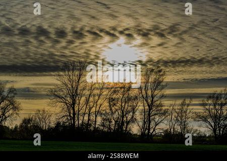 Sunset over silhouetted trees with textured clouds in the sky near a tranquil field Stock Photo
