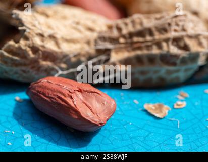 close up macro of fresh peanuts in the shells Stock Photo
