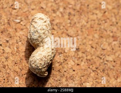 close up macro of fresh peanuts in the shells Stock Photo