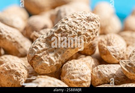 close up macro of fresh peanuts in the shells Stock Photo