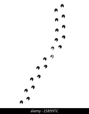 Vector flat black horse donkey foot print steps path isolated on white background Stock Vector