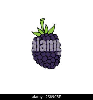 Vector hand drawn doodle sketch colored blackberry isolated on white background Stock Vector