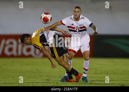 São Paulo Vs Portuguesa