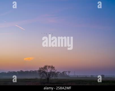 After sunset in the Comacchio Valleys in winter, this wetland is part of the Po Delta Regional Park. Province of Ferrara, Emilia-Romagna, Italy Stock Photo