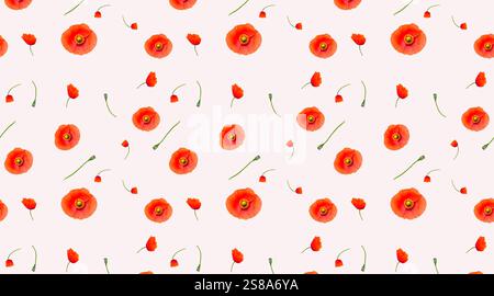 Pattern of red poppies isolated on a white background Stock Photo