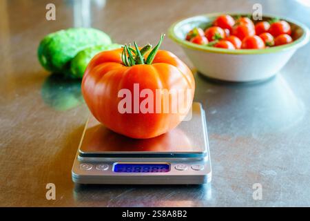 Large beefsteak tomato on a scale on a kitchen table with a bowl of grape tomatoes and cucumbers in the background Stock Photo