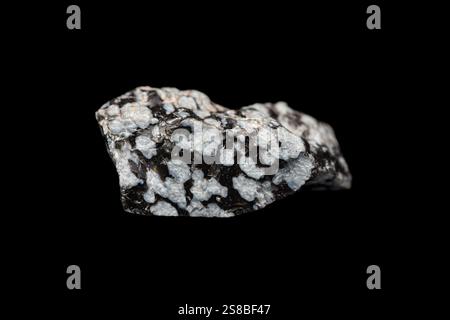Closeup natural rough snowflake obsidian on dark background. A volcanic rock with cristobalite crystals inclusions. Stock Photo