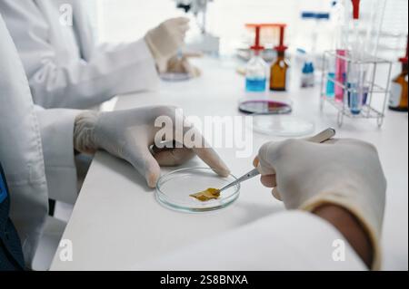 Analyzing Samples in Modern Laboratory Environment Stock Photo