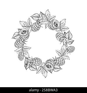 Raspberry vector black and white wreath hand drawn with ink Stock Vector