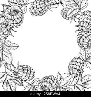 Raspberry vector black and white frame hand drawn with ink. Stock Vector