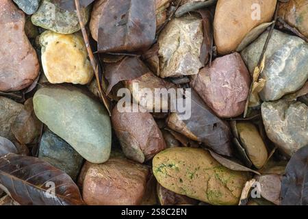 abstract stones rocks pebbles leaves backgrounds texture wallpaper, organic nature, earthy brown tones Stock Photo