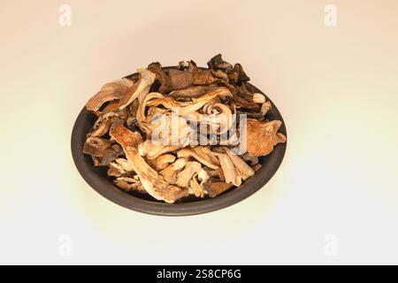 Assorted dried mushrooms on a dark ceramic plate isolated on a white background. Side view. Stock Photo