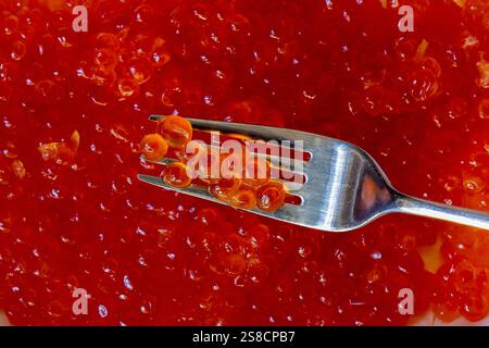 Red salmon caviar in a macro composition, focusing on the texture and rich color of the fish eggs. Stock Photo
