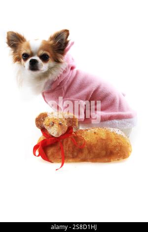 traditional czech easter lamb bread isolated on the white background Stock Photo