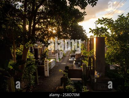 Monuments by a pathway in Yanaka Cemetery, Tokyo,  looking through trees to the setting sun Stock Photo